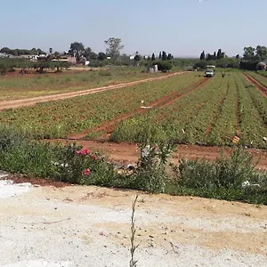  Affittacamere La Campagnola